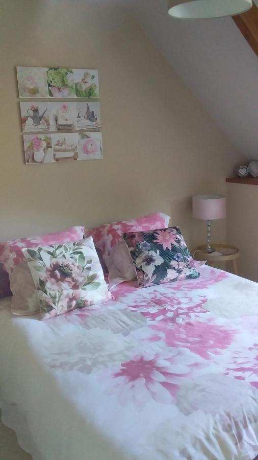 Neuville-au-Plain Chambre De Rose - Le Refuge Des Parachutistes - En Bordure Du Marais المظهر الخارجي الصورة